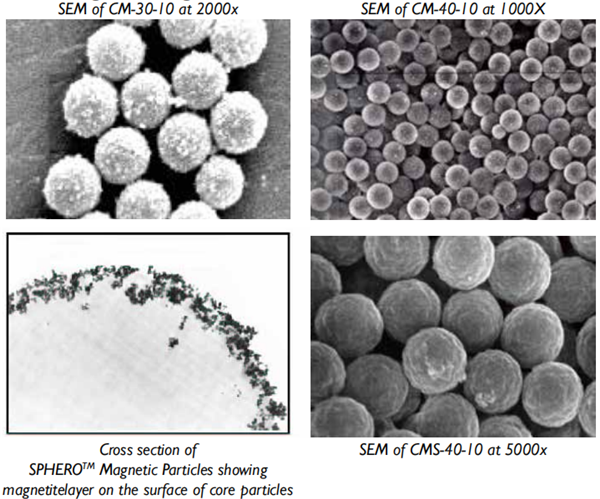 聚苯乙烯微球 Polystyrene Particles 聚苯乙烯微球 Polystyrene Particles